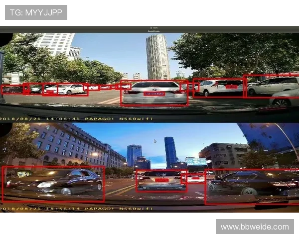 丹东公共频道直播在线观看高清实时播放